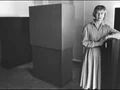 Anne Truitt Perception and Reflection