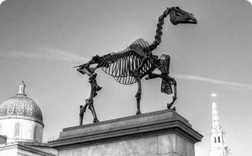 Institutional Critique Art & Analysis