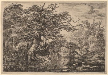 أكد جاكوب فان رويسدايل <i> Forest Marsh مع مسافرين على الضفة </ i> (1640 - 1650) على طاقة الشجرة "البطولية" الموجودة على يسار الوسط مباشرة ، وأوراق الشجر المحددة بدقة ، بينما تنقل الضوء في نفس الوقت تلمع على الماء الذي ينحني عبر المركز.