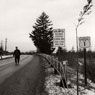 Roadsign, Route 1, Maine (1954)