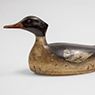 Captain Charles C. Osgood: Red-breasted Merganser Drake (c. 1880)