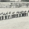 100 Boots Move On (1973)