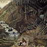 The Coming of Spring (1943)
