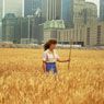 Agnes Denes: Wheatfield, a Confrontation (1982)