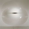 Robert Irwin: Untitled (1969)