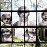 Unframed, Children treated in the Ellis Island Hospital (2014)