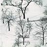 Washington Square, Winter (1954)