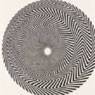 Bridget Riley: Blaze (1964)