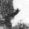 Yves Klein: Le Saut dans le Vide (Leap into the Void) (1960)