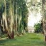 The Birch Alley in the Garden of Wannsee (1926)
