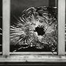 Untitled (Bullet Hole in Window, January 7, 2015) (2015-2016)