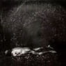 Untitled (Body Farm #18) (2000)
