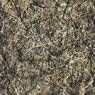 Jackson Pollock: One: Number 31, 1950 (1950)