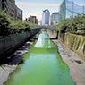 Olafur Eliasson: Green River Project (1998-2001)