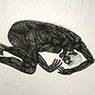Sueño (1992)
