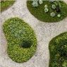 Landscape Architecture