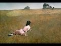 BBC Michael Palin in Wyeth's World