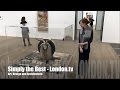 ART EXPLAINED | Robert Rauschenberg Monogram at Tate Modern